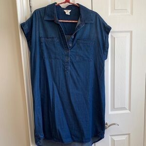 Ellen DeGeneres Blue Denim dress